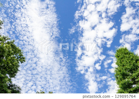 June sky in Chofu City, Tokyo (June 14, 2025) June sky in Chofu City, Tokyo (June 14, 2025) 129895764