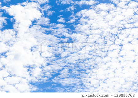 東京都調布市六月的天空（2025年6月14日） 129895768