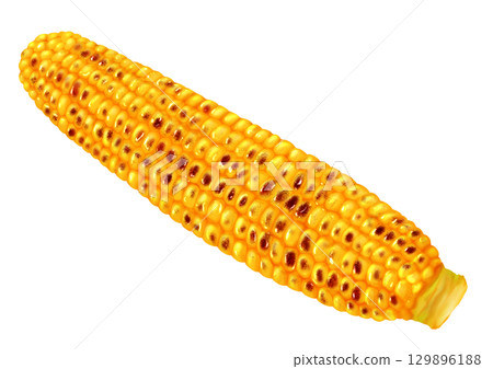 美味的烤玉米 美味的烤玉米 129896188