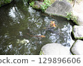 Spring park garden scenery 129896606