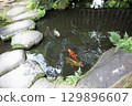 Spring park garden scenery 129896607