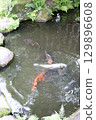 Spring park garden scenery 129896608