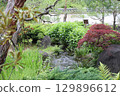 Spring park garden scenery 129896612