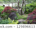 Spring park garden scenery 129896613