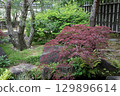Spring park garden scenery 129896614