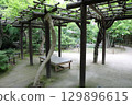 Spring park garden scenery 129896615