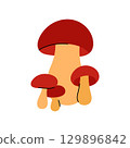 Mushrooms cluster vector illustration. Mushroom cute colorful drawing isolated on white background 129896842