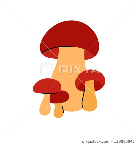 Mushrooms cluster vector illustration. Mushroom cute colorful drawing isolated on white background 129896842
