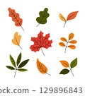 Fall leaves vector set. Autumn leaf clipart, flat doodle illustrations. Colorful hand drawn botanical collection. Yellow, green and red colors 129896843