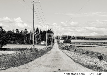 穿過田野的筆直道路「旭川市郊區」黑白 129896846