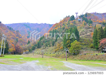 湯澤高原纜車站附近的秋葉 129897003