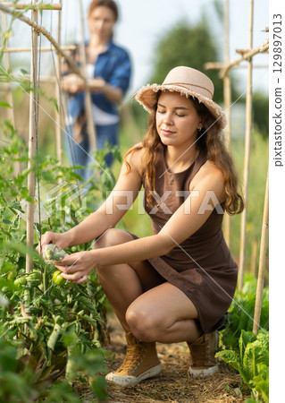 Young and adult women caring for plant in garden 129897013