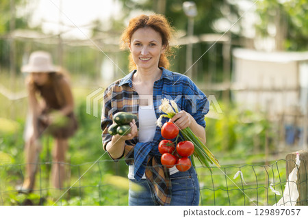 Adult woman with vegetable harvest in cottage garden 129897057