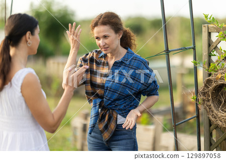 Two adult women arguing in cottage garden Two adult women arguing in cottage garden 129897058
