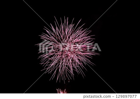 高知市農涼花火大會上呈放射狀展開的煙火 129897077