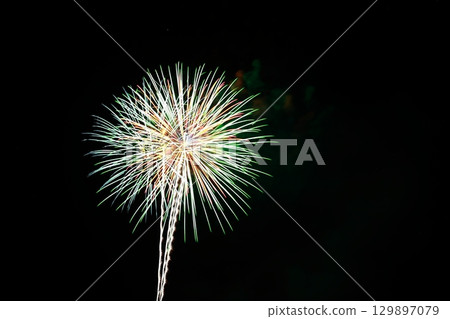 高知市農涼花火大會上呈放射狀展開的煙火 高知市農涼花火大會上呈放射狀展開的煙火 129897079