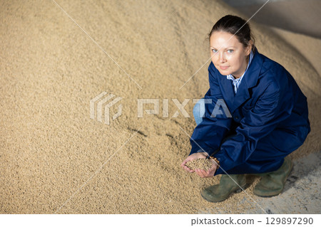 Positive female farmer with handful of feed calf feed in her hands 129897290