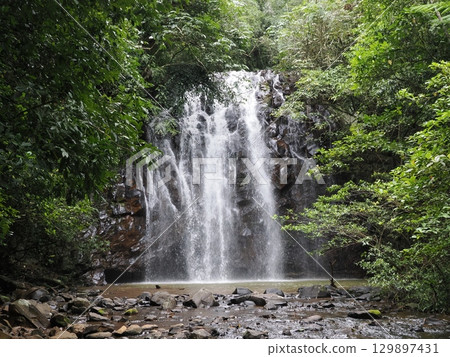White streams surrounded by greenery - Afternoon at Ellinjaa Falls 129897431
