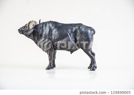 African wild buffalo on isolated background African wild buffalo on isolated background 129898005