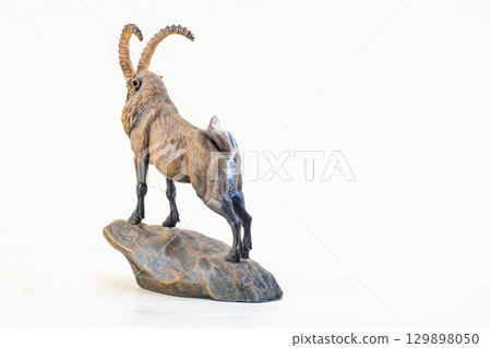 mountain goat on isolated background mountain goat on isolated background 129898050