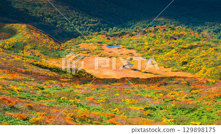 秋季攀登栗駒山(栗駒山~前岳:龍泉原) 秋季攀登栗駒山(栗駒山~前岳:龍泉原) 129898175