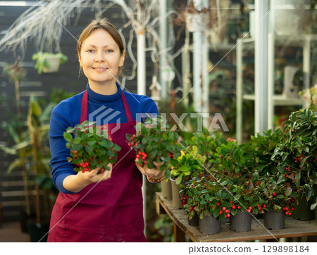 florist woman took pot with gaultheria florist woman took pot with gaultheria 129898184