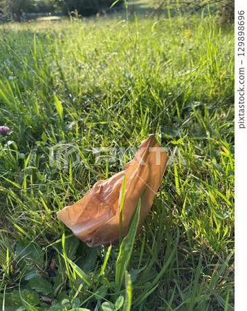 A Discarded Paper Bag Found on the Grassland Area Contributes to Environmental Pollution 129898696