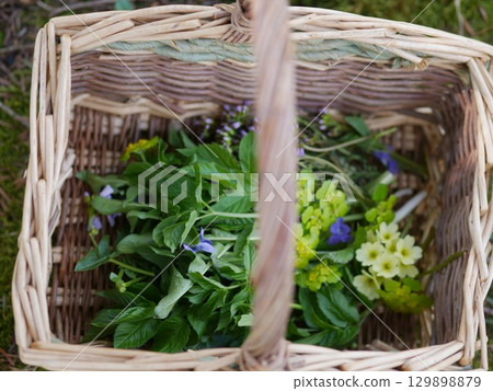 Basket filled with herbs and flowers 129898879