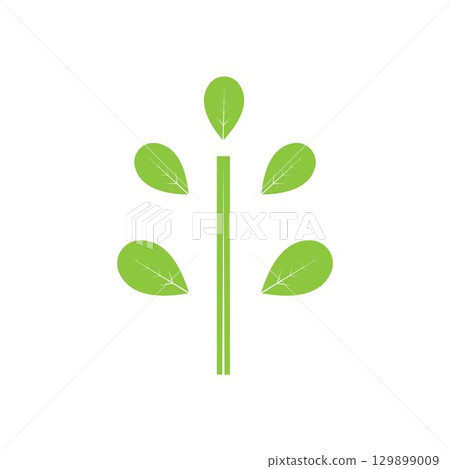 Moringa leaf logo illustration vector design 129899009