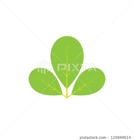 Moringa leaf logo illustration vector design 129899014