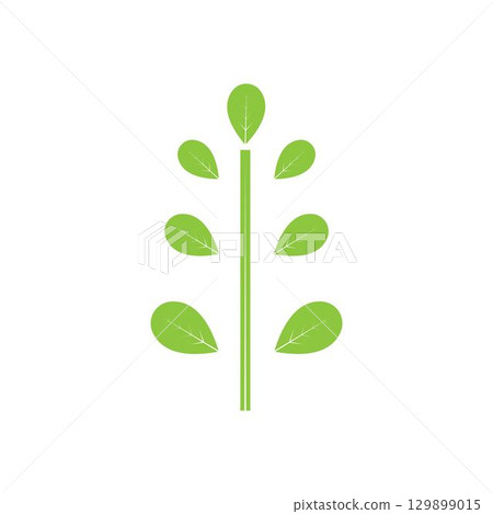 Moringa leaf logo illustration vector design Moringa leaf logo illustration vector design 129899015