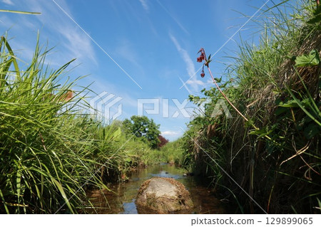 A stream of water runs through a grassy area with a rock in the middle 129899065