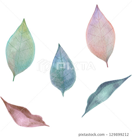 Autumn leaves painted in watercolor Autumn leaves painted in watercolor 129899212