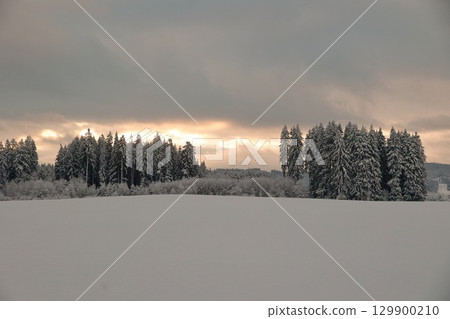 Snowy field with trees in the background Snowy field with trees in the background 129900210