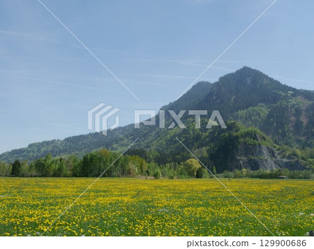 Large mountain range is visible in the distance, with a clear blue sky above 129900686