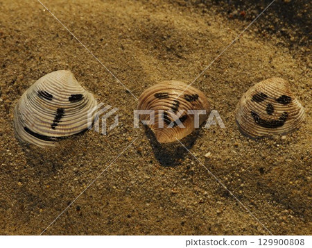 Three shells with faces drawn on them are sitting on a sandy beach 129900808