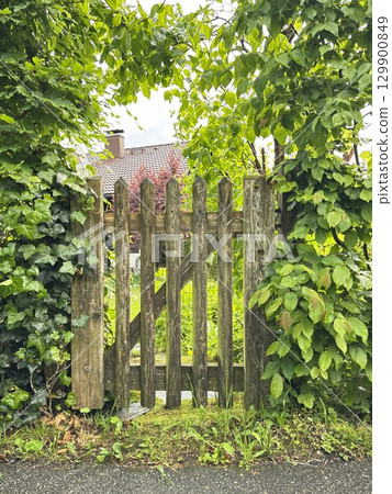 A Charming Wooden Gate Nestled Amidst Lush, Vibrant Greenery, Inviting All Who Pass By A Charming Wooden Gate Nestled Amidst Lush, Vibrant Greenery, Inviting All Who Pass By 129900849