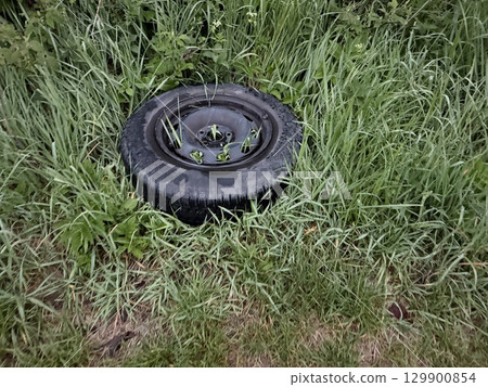 Tire is sitting in the grass Tire is sitting in the grass 129900854