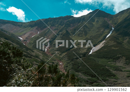 Mount Furano: Summer sky and alpine plants 129901562
