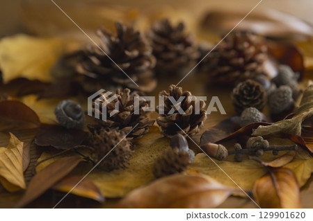 五顏六色的落葉的特寫 129901620