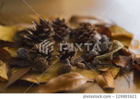 Close-up of colorful fallen leaves 129901621
