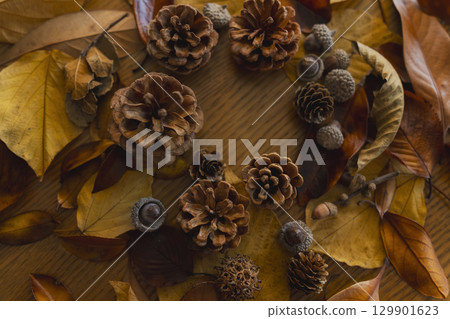 五顏六色的落葉的特寫 129901623