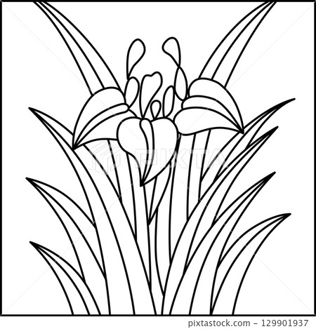 方線描花札－鳶尾花、鳶尾花、五月花、鳶尾花渣 129901937
