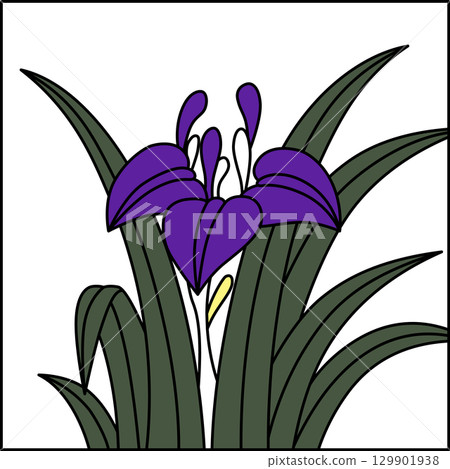 彩色方形花紮 - 鳶尾花、鳶尾花、五月花、鳶尾花渣 129901938