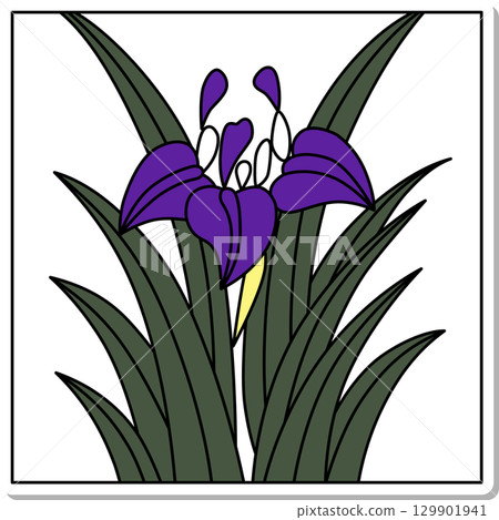 方形花札貼紙 - 鳶尾花、鳶尾花、五月花、鳶尾花滴 129901941