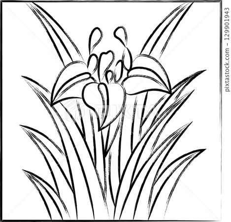 方形手寫花紮－鳶尾花、鳶尾花、五月花、鳶尾花渣 129901943