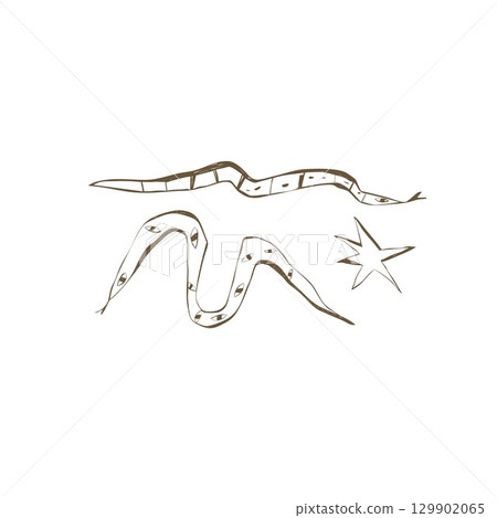 Hand drawn mystical snakes with star and eyes vector clipart for stickers stationery home decor and boho design Vector illustration 129902065