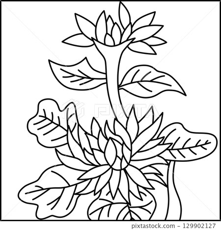 Line drawing square Hanafuda card Nagatsuki chrysanthemum September chrysanthemum scum 129902127