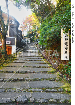 Kyoto, Mio, Mount Takao, Jingoji Temple Approach (Ukyo Ward, Kyoto City, Kyoto Prefecture) 129902421