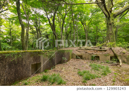 上見坂庭園:砲台遺跡 上見坂庭園:砲台遺跡 129903243